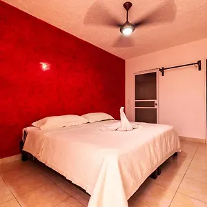 Caribe Express Hotel Cozumel